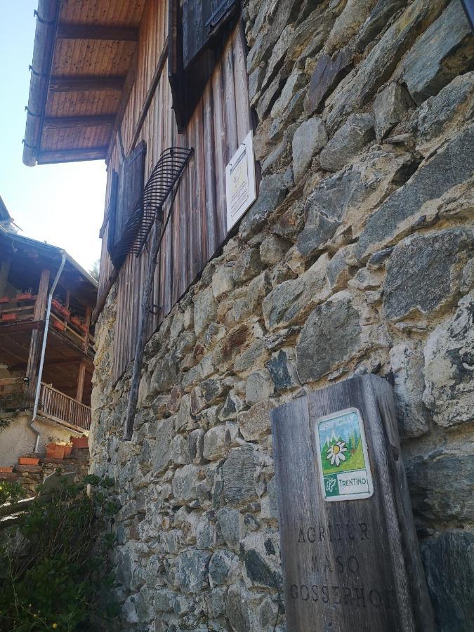 Agritur Maso Gosserhof Frassilongo Екстериор снимка